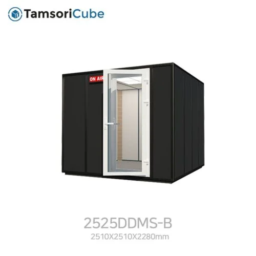 1 2525DDMS B